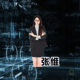 张维